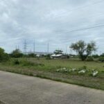 San Manuel Pangasinan Lot For Sale Gallery Image