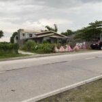 Gerona Tarlac Commercial Lot For Sale Gallery Image